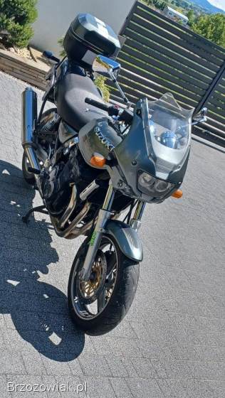 Suzuki GSX 750 INAZUMA 2001