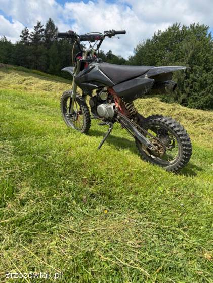 Diabolini Agb 37 2017