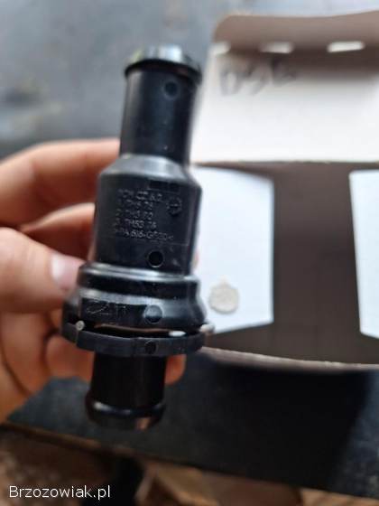 Termostat dsg Audi