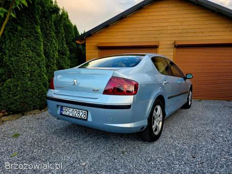 Peugeot 407 2006