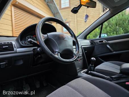 Peugeot 407 2006