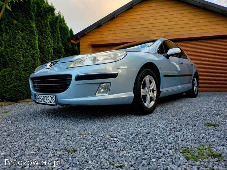 Peugeot 407 2006