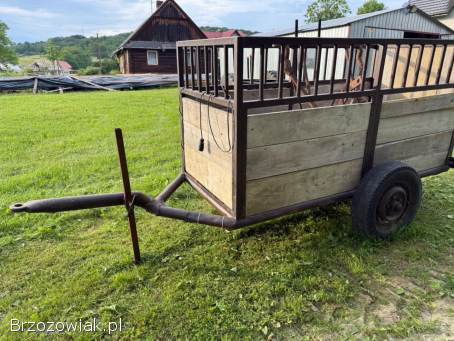 Przyczepa rolnicza dwukołówka
