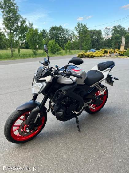 Yamaha MT 125 2019
