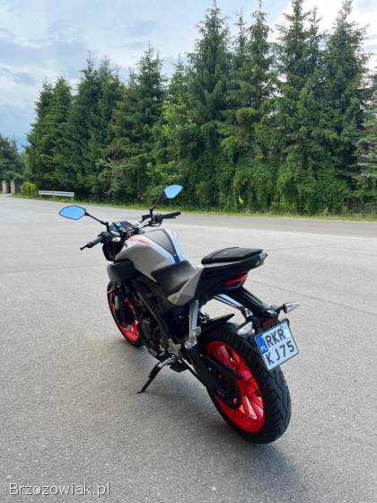 Yamaha MT 125 2019