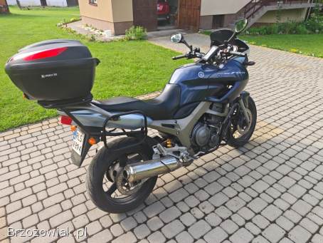 Yamaha TDM 900 2003
