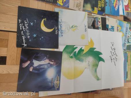 Płyty winylowe 37 sztuk