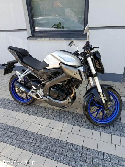 Yamaha MT 2016