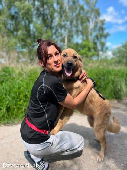 Yuki -  młodziutka,  przyjazna sunia szuka domu!