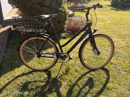 Rower Batavus