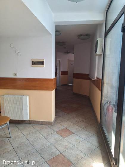 Lokal do wynajęcia w centrum Brzozowa