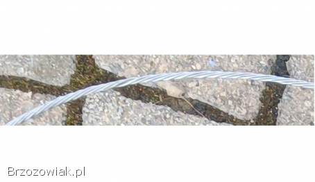 Linka inox 2,  5mm do balustrady ogrodzenia drut naciągowy stal szlachetna kwasowa