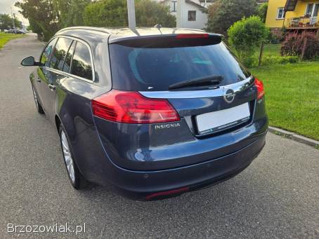 Opel Insignia 2.  0CDTI AUTOMAT 2010