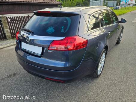 Opel Insignia 2.  0CDTI AUTOMAT 2010