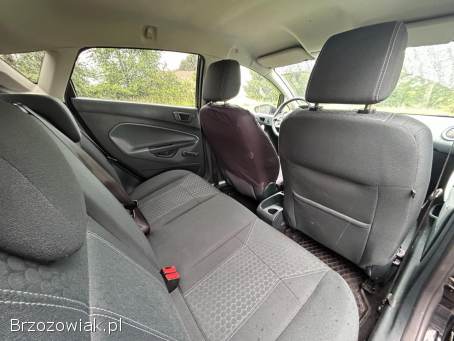 Ford Fiesta 2010