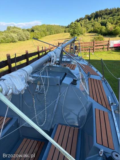 Sprzedam Sportine595