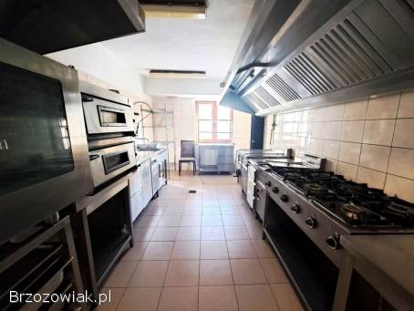 Do wynajęcia lokal 288,  63 mkw.  pierwsze piętro,  centrum Zagórza