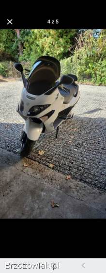 Piaggio X9evo X9evo 2016