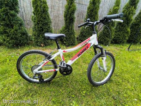 Rower Romet 20 cali