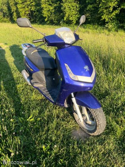 Peugeot Vivacity 4T 2008