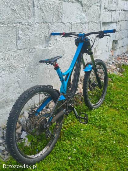 Rower Downhill Devinci Wilson Carbon 2014