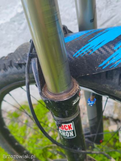 Rower Downhill Devinci Wilson Carbon 2014