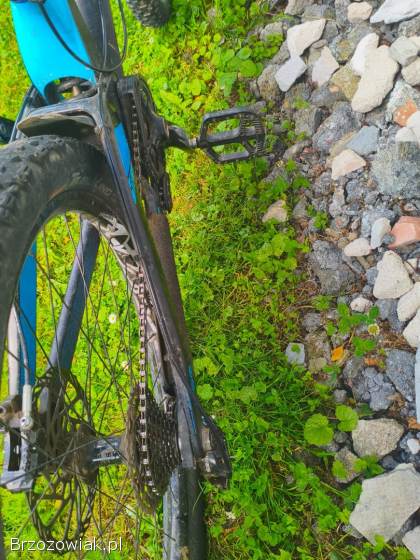 Rower Downhill Devinci Wilson Carbon 2014