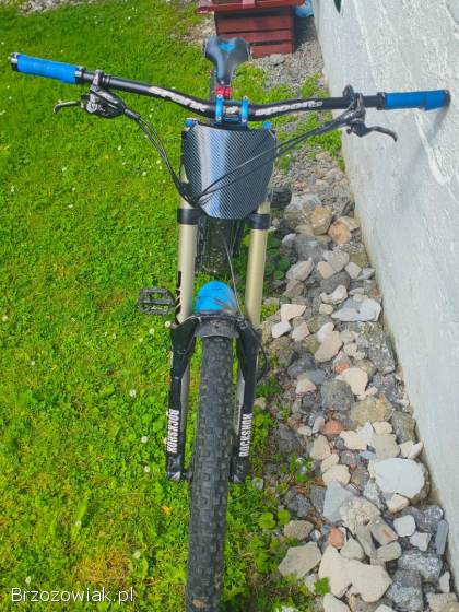 Rower Downhill Devinci Wilson Carbon 2014
