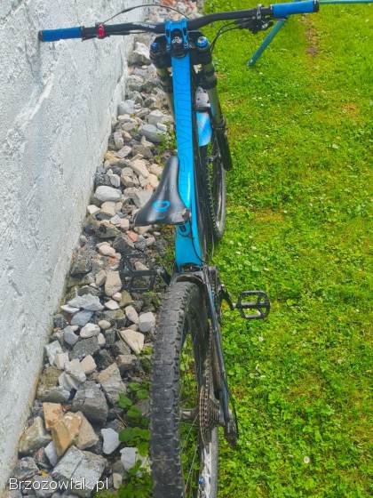 Rower Downhill Devinci Wilson Carbon 2014