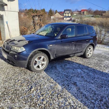 BMW X3 E83 2007