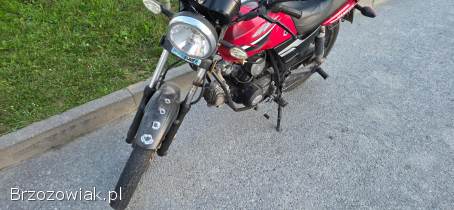 Dafier Dafier yankee 110 2013