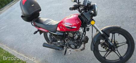 Dafier Dafier yankee 110 2013