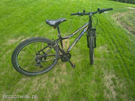Rower Romet 26