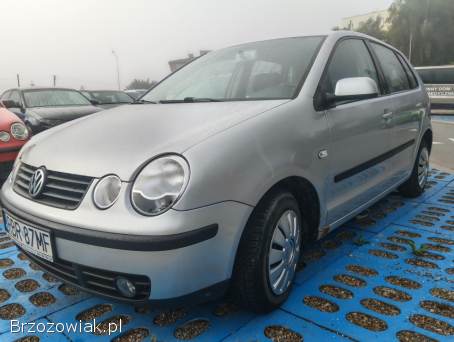 Volkswagen Polo 2009