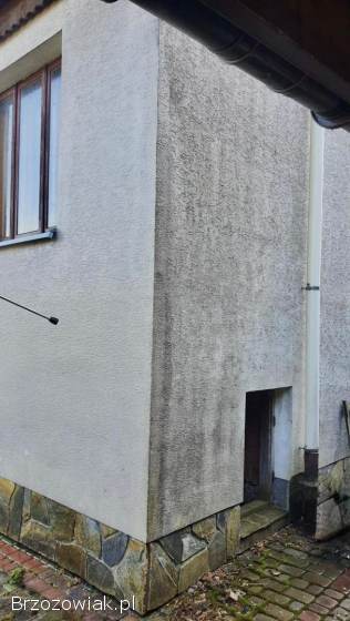 Mycie i malowanie dachów i elewacji