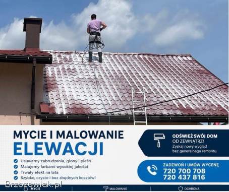 Mycie i malowanie dachów i elewacji