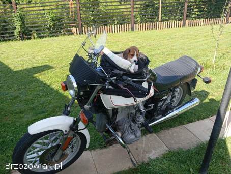 BMW R 45 1980