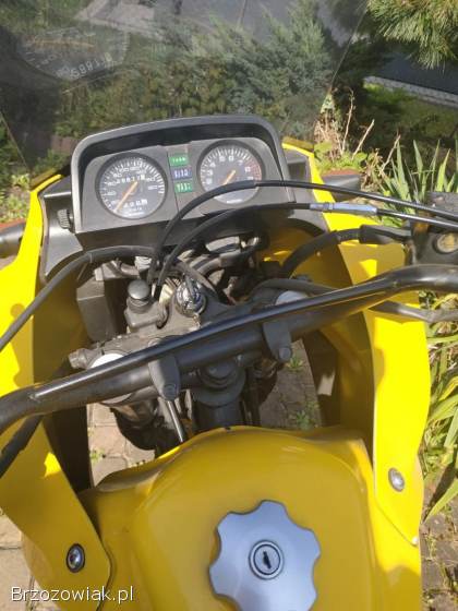 Suzuki DR 1998