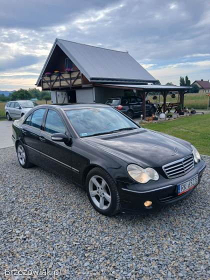 Mercedes-Benz CE Klasa W 203 2005