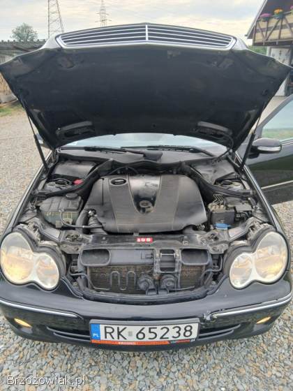 Mercedes-Benz CE Klasa W 203 2005