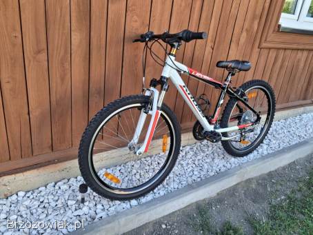 Rower Kross 24 cale