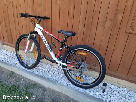 Rower Kross 24 cale