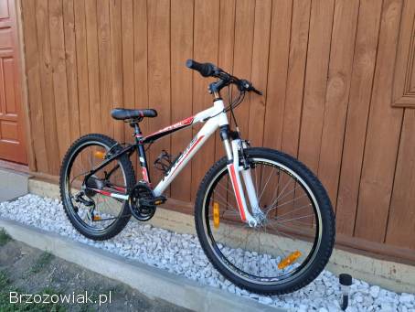 Rower Kross 24 cale