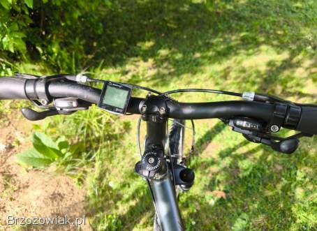 Rower Crossowy Specialized Crosstrail 28