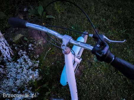 Rower dla dziewczynki Giulietta 24