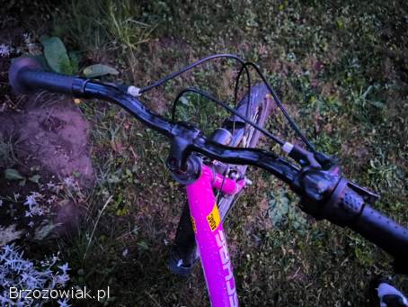 Rower dla dziewczynki 24 -  Fischer