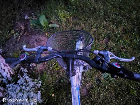 Rower 24 Unibike