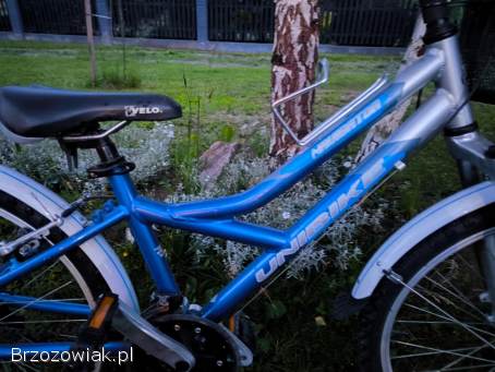 Rower 24 Unibike