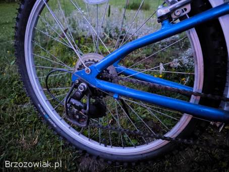 Rower 24 Unibike