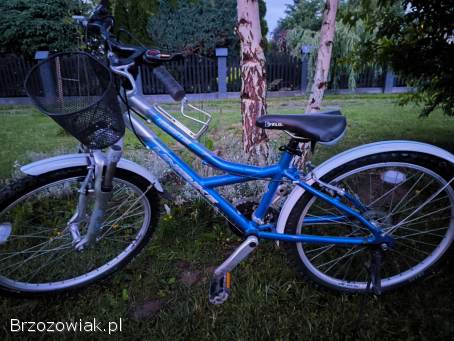 Rower 24 Unibike